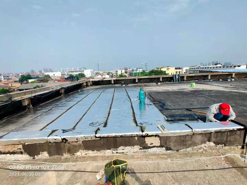 首页|yl6809永利集团有限公司官方网站