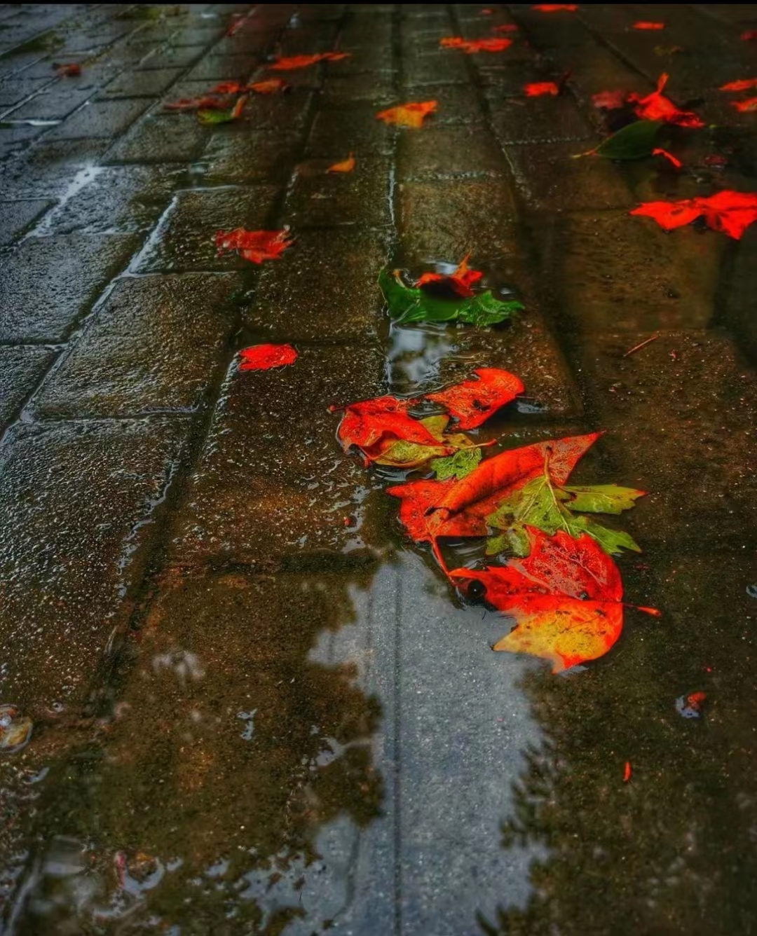 首页|yl6809永利集团有限公司官方网站